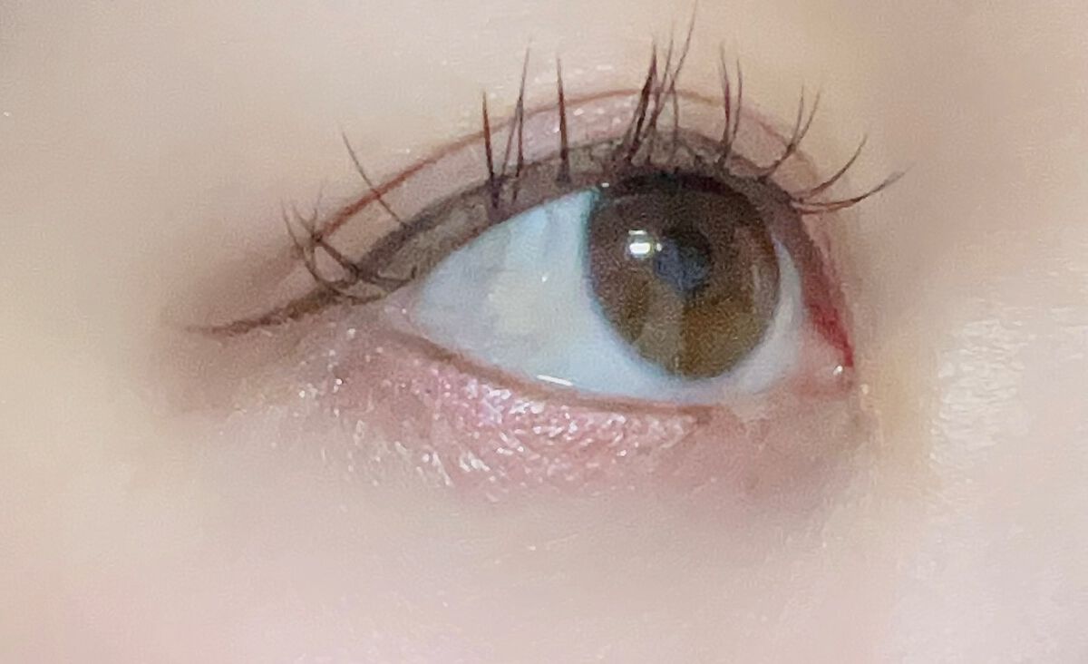 シルキースフレアイズ（マットタイプ）/キャンメイク/アイシャドウパレットを使ったクチコミ（1枚目）