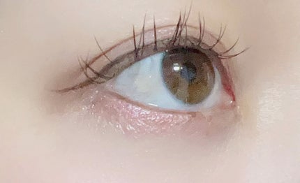 シルキースフレアイズ(マットタイプ)/キャンメイク/アイシャドウパレットの人気ショート動画