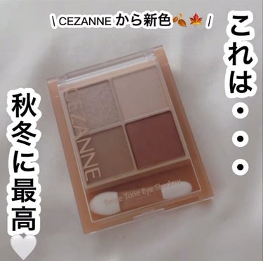 ベージュトーンアイシャドウ/CEZANNE/アイシャドウパレットを使ったクチコミ（1枚目）