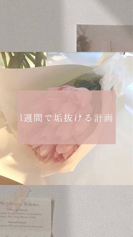 オペラ リップティント N/OPERA/リップティントの人気ショート動画