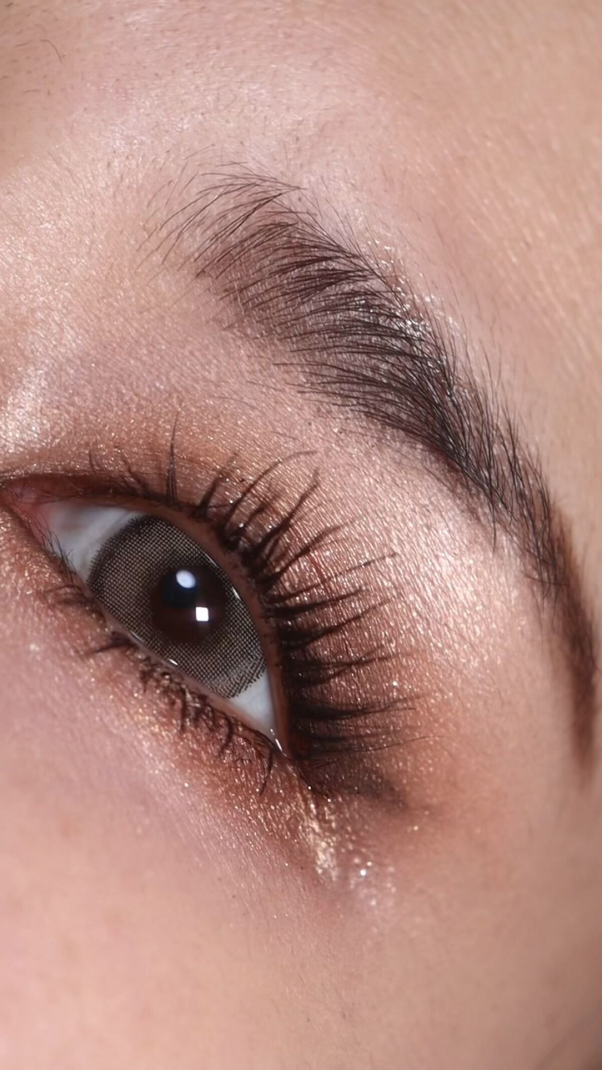 アニマルアイシャドウ(4シェード)/ZEESEA/アイシャドウパレットを使ったクチコミ（1枚目）