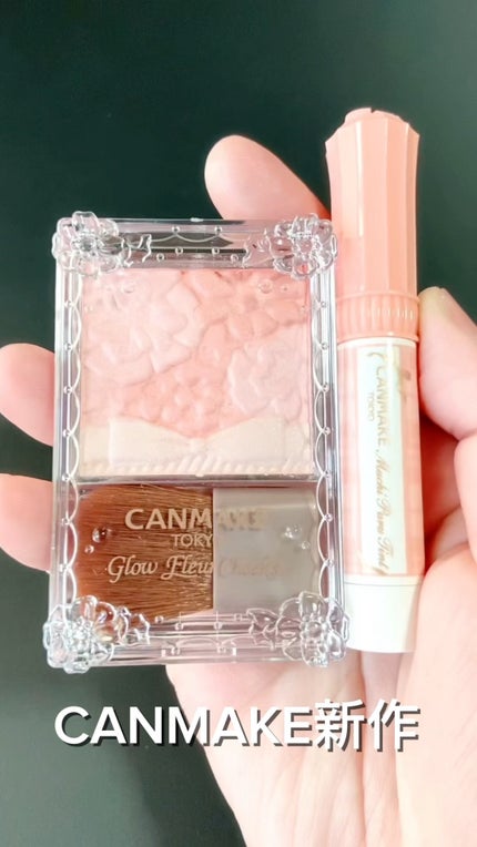 むちぷるティント/キャンメイク/リップティントの人気ショート動画