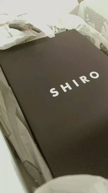 アールグレイ ボディミスト/SHIRO/香水(レディース)を使ったクチコミ（1枚目）