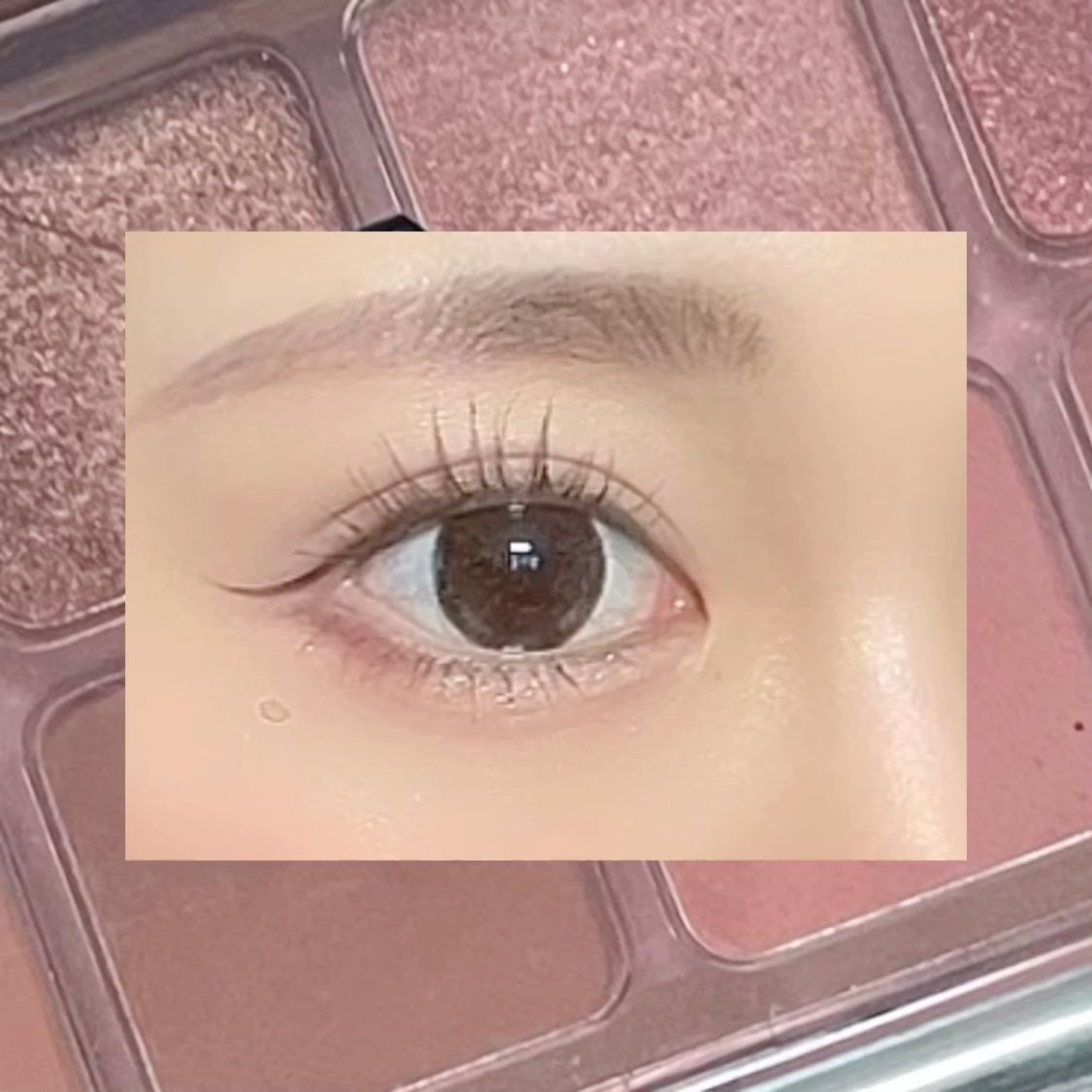 3CE ニューテイク アイシャドウパレット/3CE/アイシャドウパレットを使ったクチコミ（2枚目）