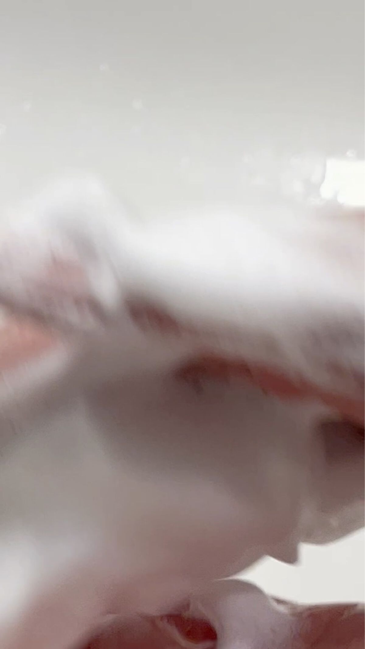 2番 Wクレンジングホイップ泡洗顔料/numbuzin/洗顔フォームの動画クチコミ3つ目