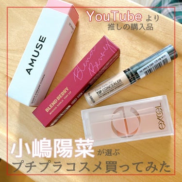 カバーパーフェクション チップコンシーラー/the SAEM/リキッドコンシーラーを使ったクチコミ（1枚目）