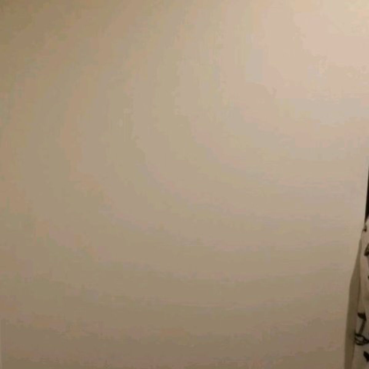 プルント コントロール美容液シャンプー/トリートメント/Purunt./市販シャンプーを使ったクチコミ（3枚目）