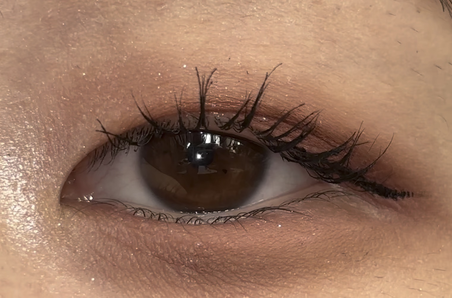 セパレートロングマスカラ/CEZANNE/マスカラの人気ショート動画