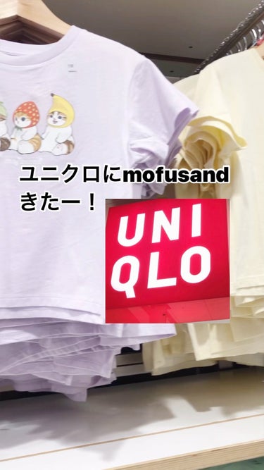 .
.
#mofusand 
#モフサンド
#ユニクロ

キッズTシャツ
大人の私も買って良いでしょうか…
とくに白がかわいい