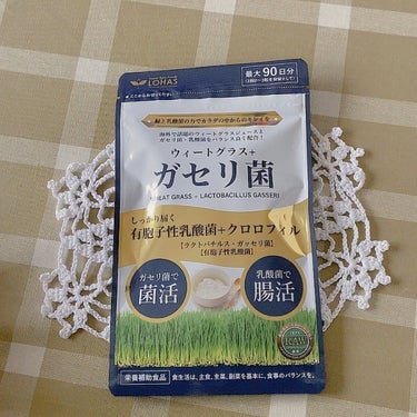 恵 megumi ガセリ菌SP株ヨーグルト/雪印メグミルク/食品の動画クチコミ1つ目