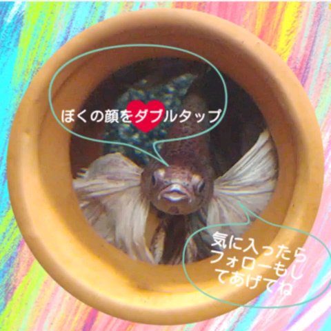 インプレッシブセパレートマスカラ ロング／ボリューム/アイプルーフ/マスカラの動画クチコミ5つ目