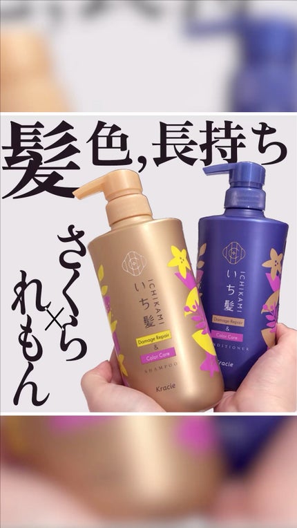 ダメージリペア&カラーケア シャンプー/コンディショナー/いち髪/市販シャンプーの人気ショート動画