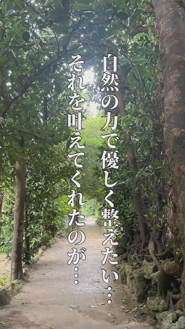 CHフェイシャルオイル/采茶/フェイスオイルを使ったクチコミ（1枚目）