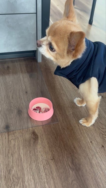 カバーアッププロコンシーラー/TFIT/パレットコンシーラーを使ったクチコミ(6枚目)