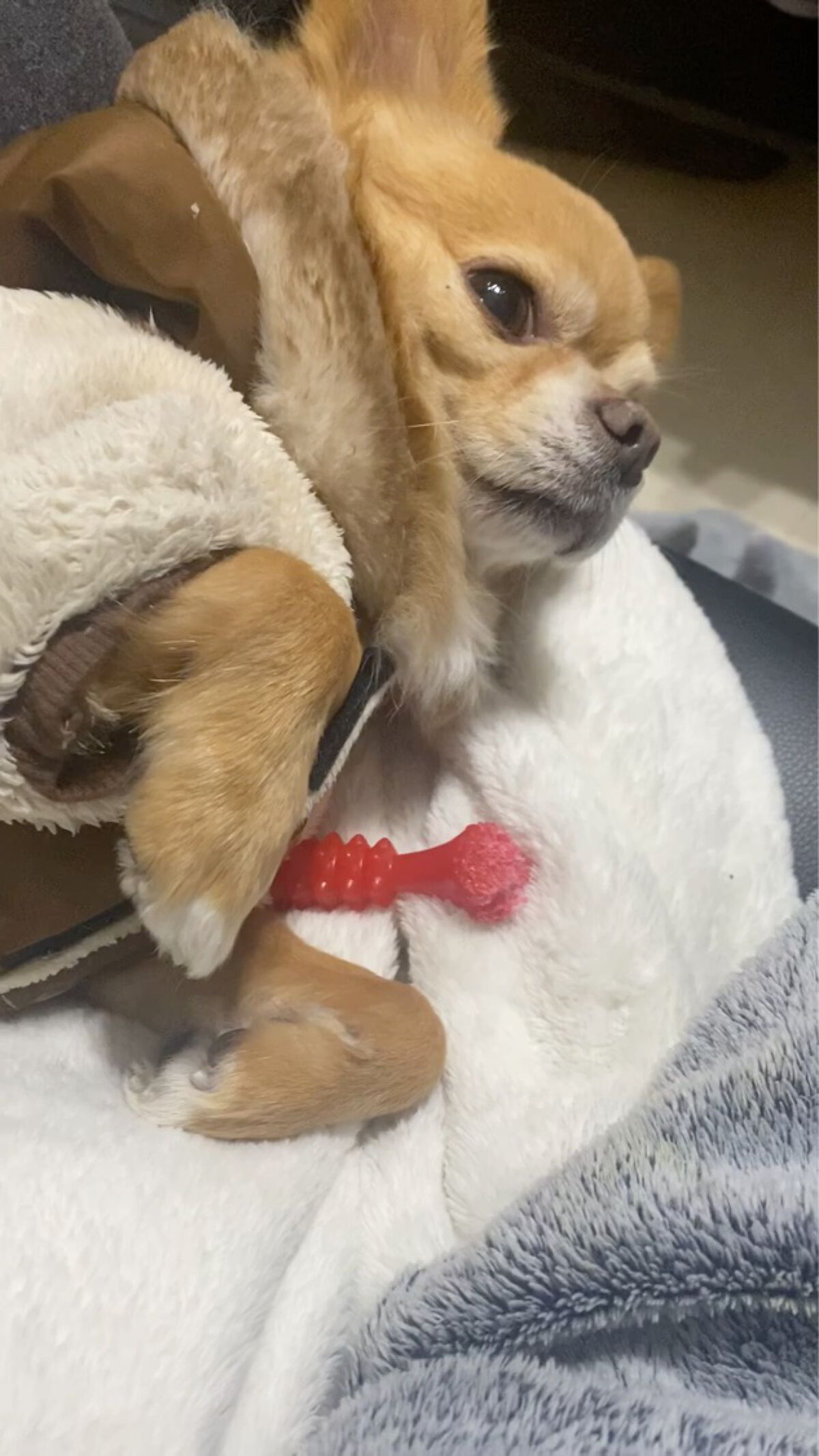 あぶらとりモバイル/Fujiko/その他スキンケアの動画クチコミ3つ目