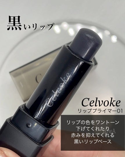 リッププライマー/Celvoke/リップクリームを使ったクチコミ(1枚目)
