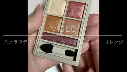 パノラマデザイン アイパレット/Visée/アイシャドウパレットの人気ショート動画
