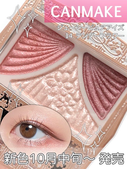 ジューシーピュアアイズ/キャンメイク/アイシャドウパレットの人気ショート動画