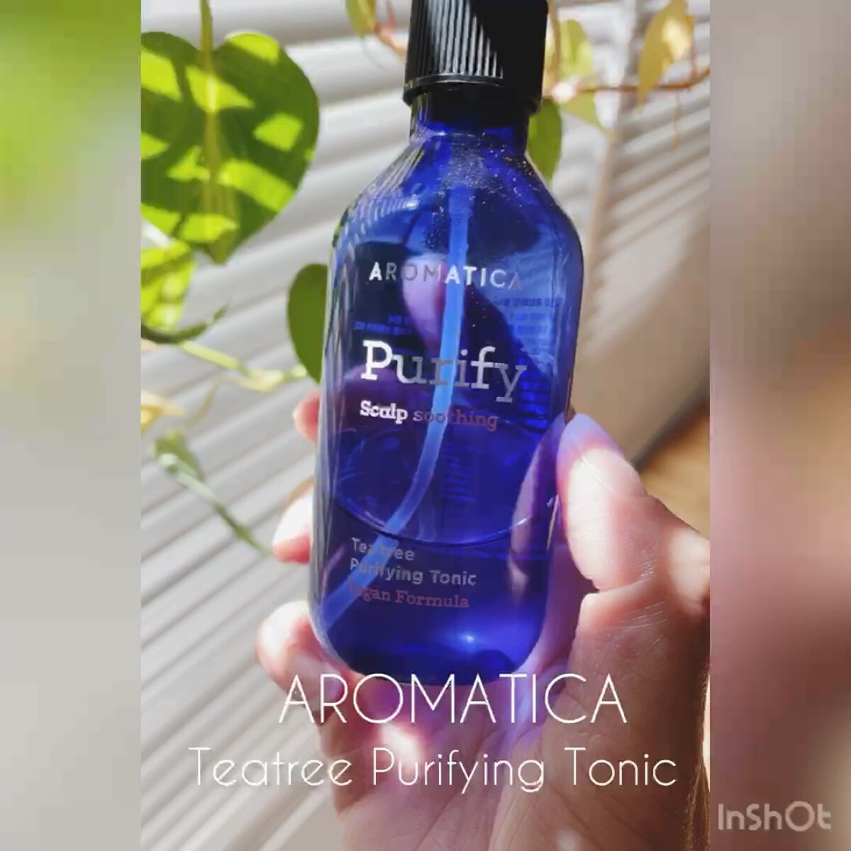 ティーツリーピュリファイングトニック/AROMATICA/頭皮ローションを使ったクチコミ（1枚目）