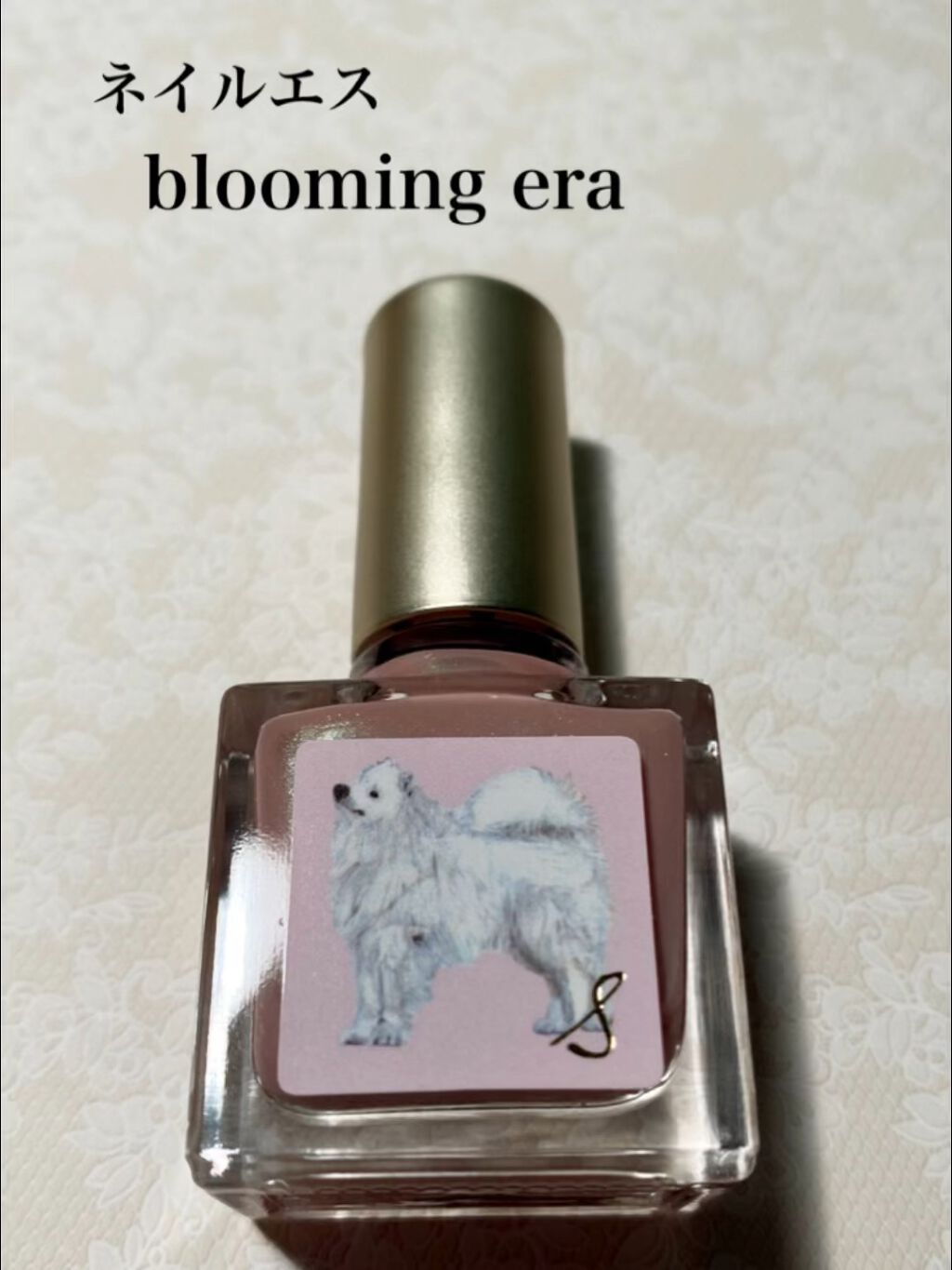 ネイルエス/ nail S(ネイルエス) /マニキュアを使ったクチコミ（1枚目）