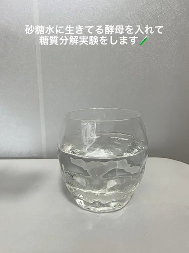 生きてる酵母＋乳酸菌/生きてる酵母シリーズ/健康サプリメントを使ったクチコミ（1枚目）