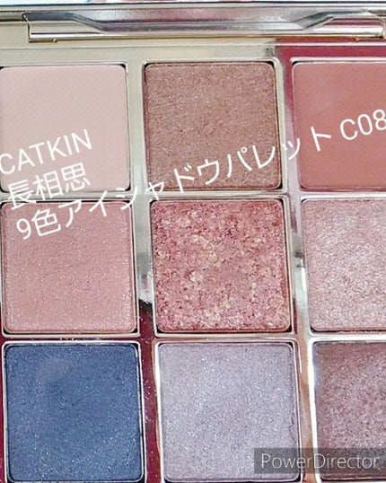 長相思シリーズ 9色アイシャドウパレット/CATKIN/アイシャドウパレットの人気ショート動画