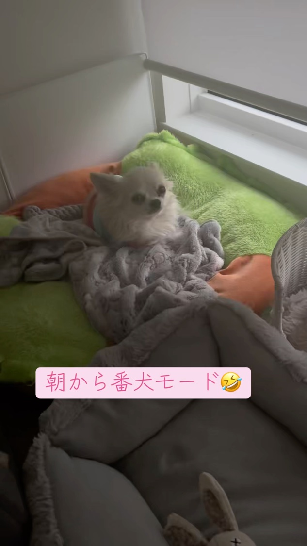 アドベントカレンダー M(ボディケアセット)/フランフラン/その他キットセットの動画クチコミ3つ目