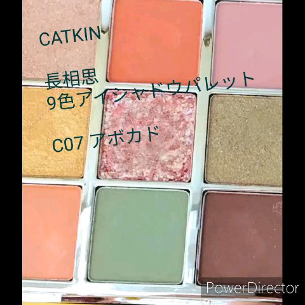 長相思シリーズ 9色アイシャドウパレット/CATKIN/アイシャドウパレットの動画クチコミ2つ目