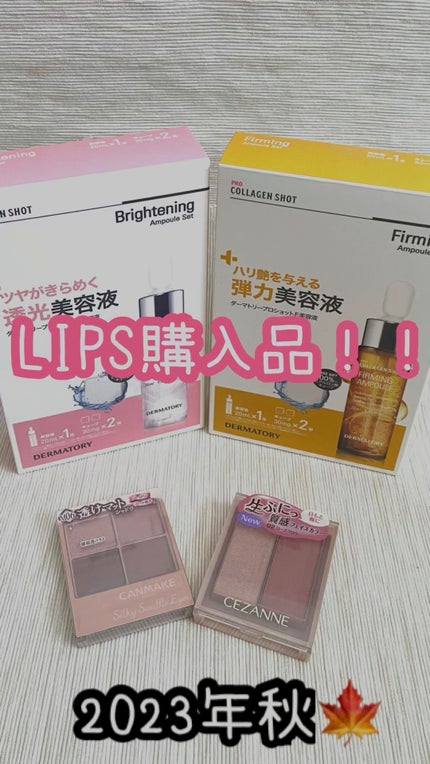 シルキースフレアイズ(マットタイプ)/キャンメイク/アイシャドウパレットの人気ショート動画