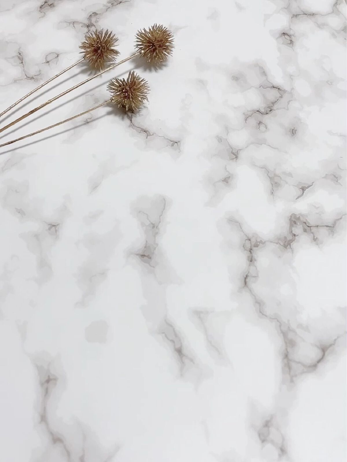 DMT フェイシャルクリーム/PHYSIOGEL/フェイスクリームを使ったクチコミ（2枚目）