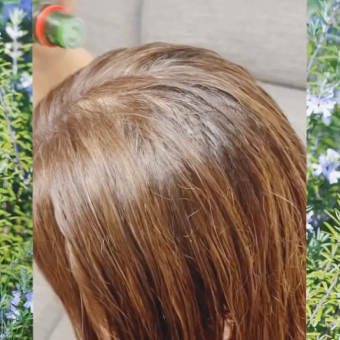 ワイルドローズオイル/WELEDA/ボディオイルを使ったクチコミ（2枚目）