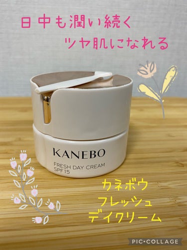 カネボウ フレッシュ デイ クリーム/KANEBO/化粧下地を使ったクチコミ（1枚目）