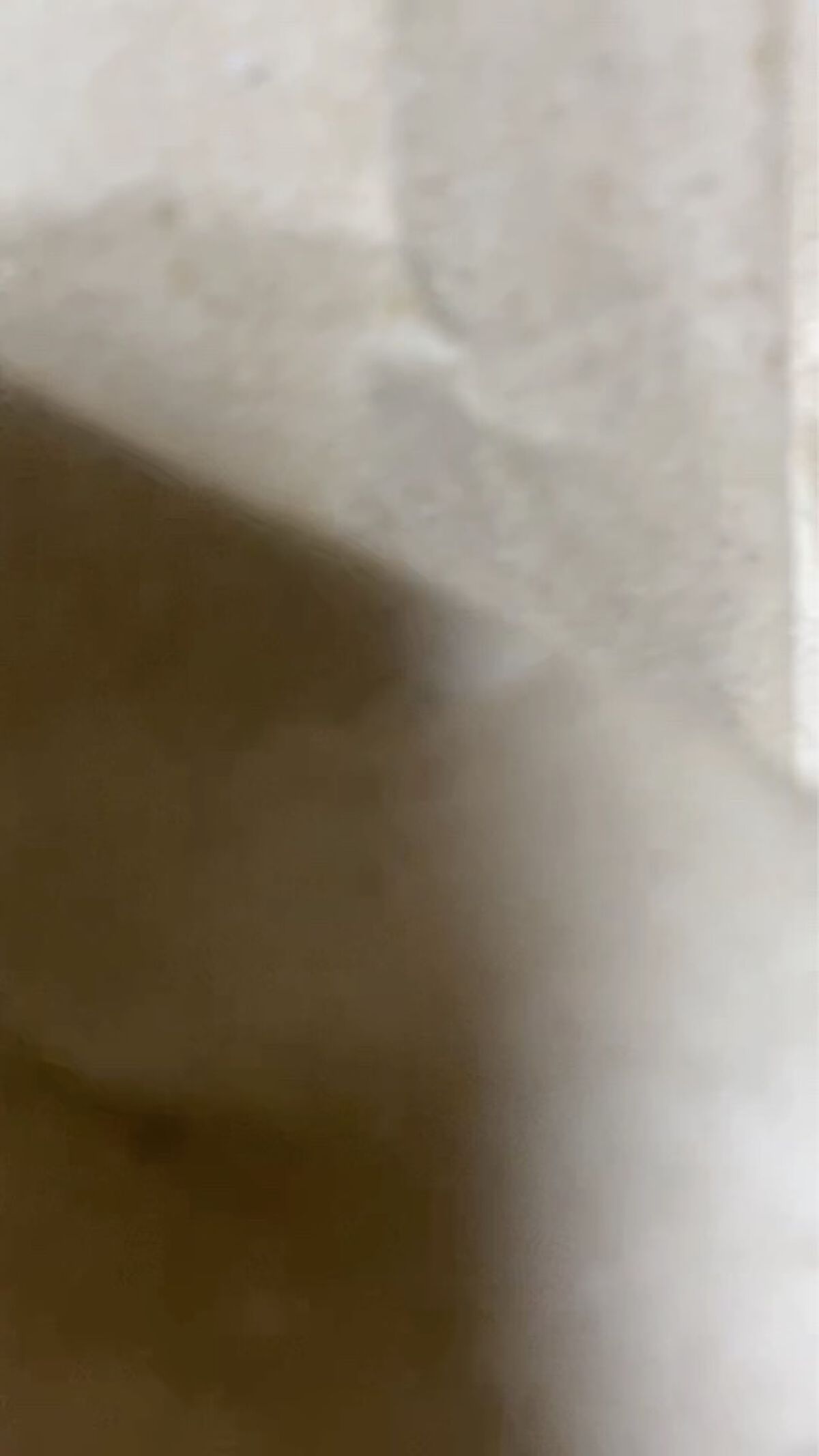 プロポリス エネルギーアンプル/CNP Laboratory/美容液を使ったクチコミ（2枚目）