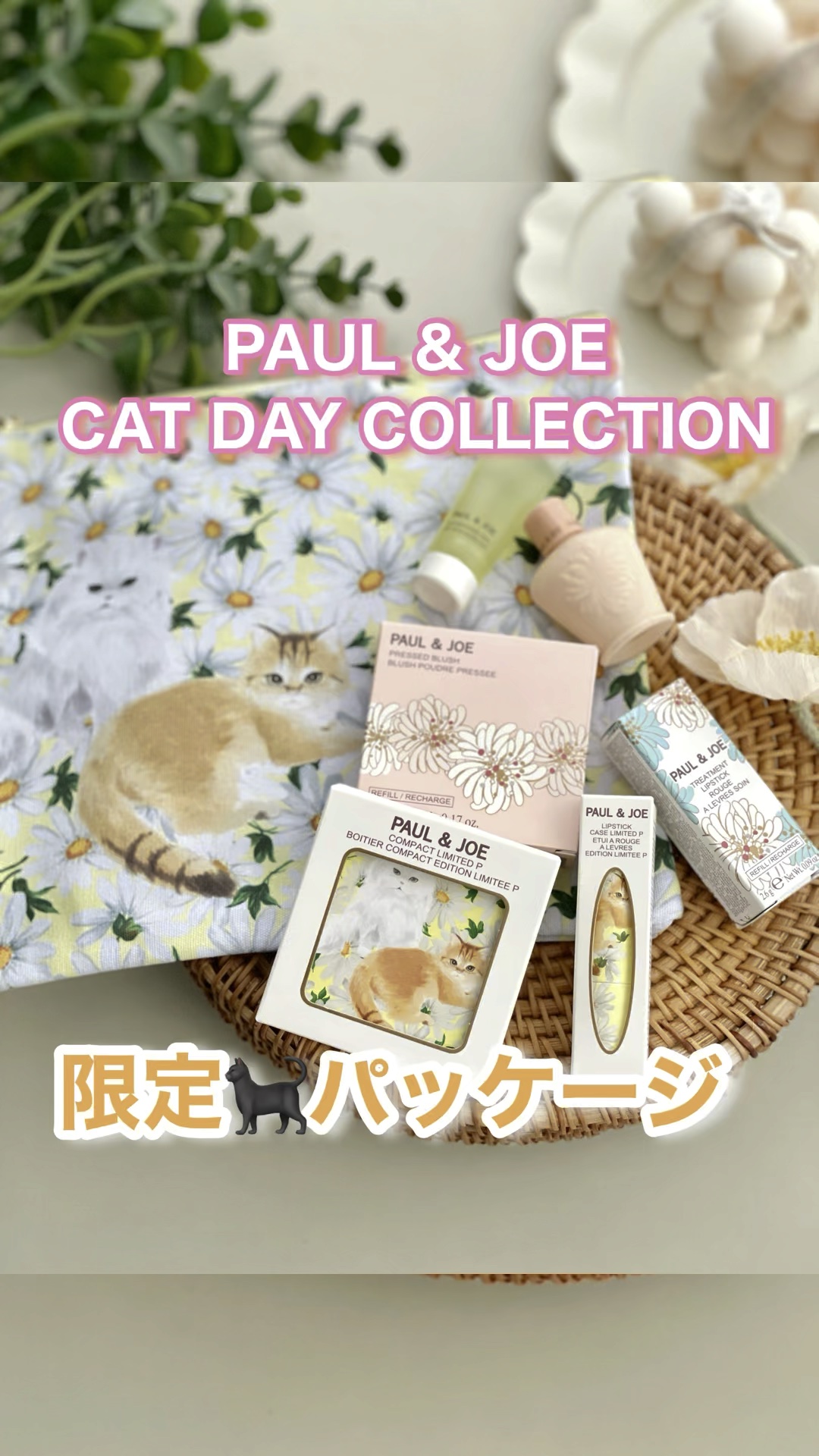 リップスティック トリートメント/PAUL & JOE BEAUTE/リップケアを使ったクチコミ（1枚目）