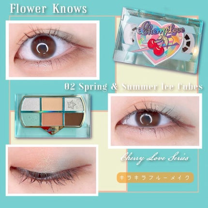 レトロマグネティック アイシャドウパレット/FlowerKnows/アイシャドウパレットの人気ショート動画
