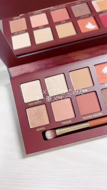 エクスプローラ12色 動物アイシャドウパレット/PERFECT DIARY/アイシャドウパレットの人気ショート動画