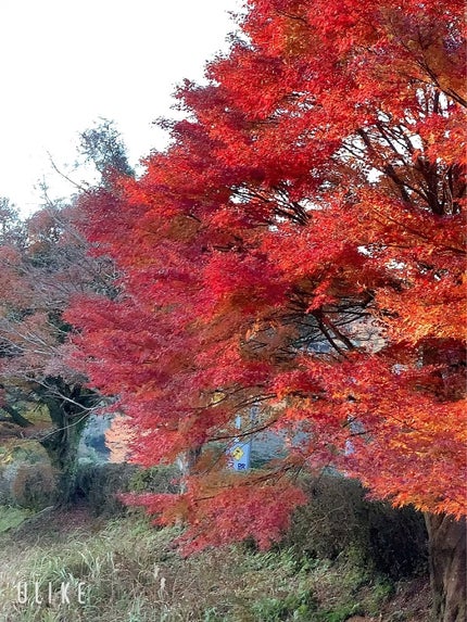 йаÑsÏ
ð¥ã³ã¹ã¡ð奜ããããšæ²¢å±±ç¹ããããð on LIPS ããçŽ
èðããèŠã«ãå®¶æðãã§2ãïŒæ¥åè¡ã£ãŠããŸããð¥°ðæ¯å¹Žâš..ãïŒ6æç®ïŒ