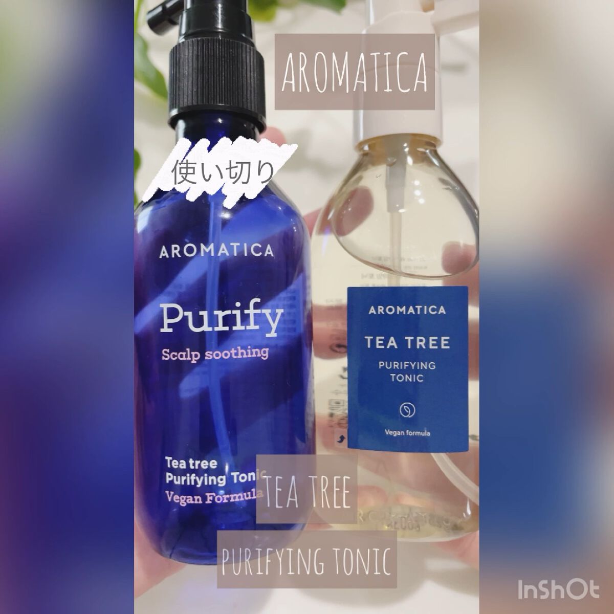 ティーツリーピュリファイングトニック/AROMATICA/頭皮ローションを使ったクチコミ（1枚目）