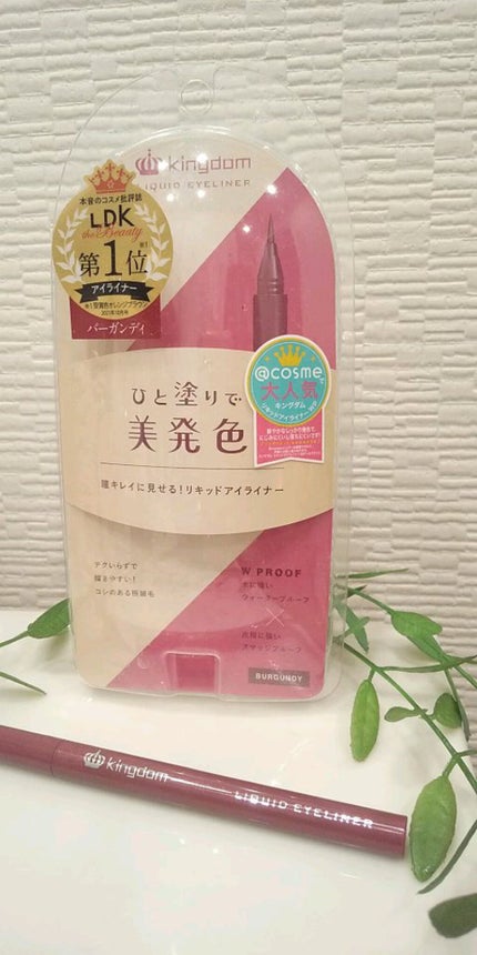 リキッドアイライナーWP /キングダム/リキッドアイライナーの人気ショート動画