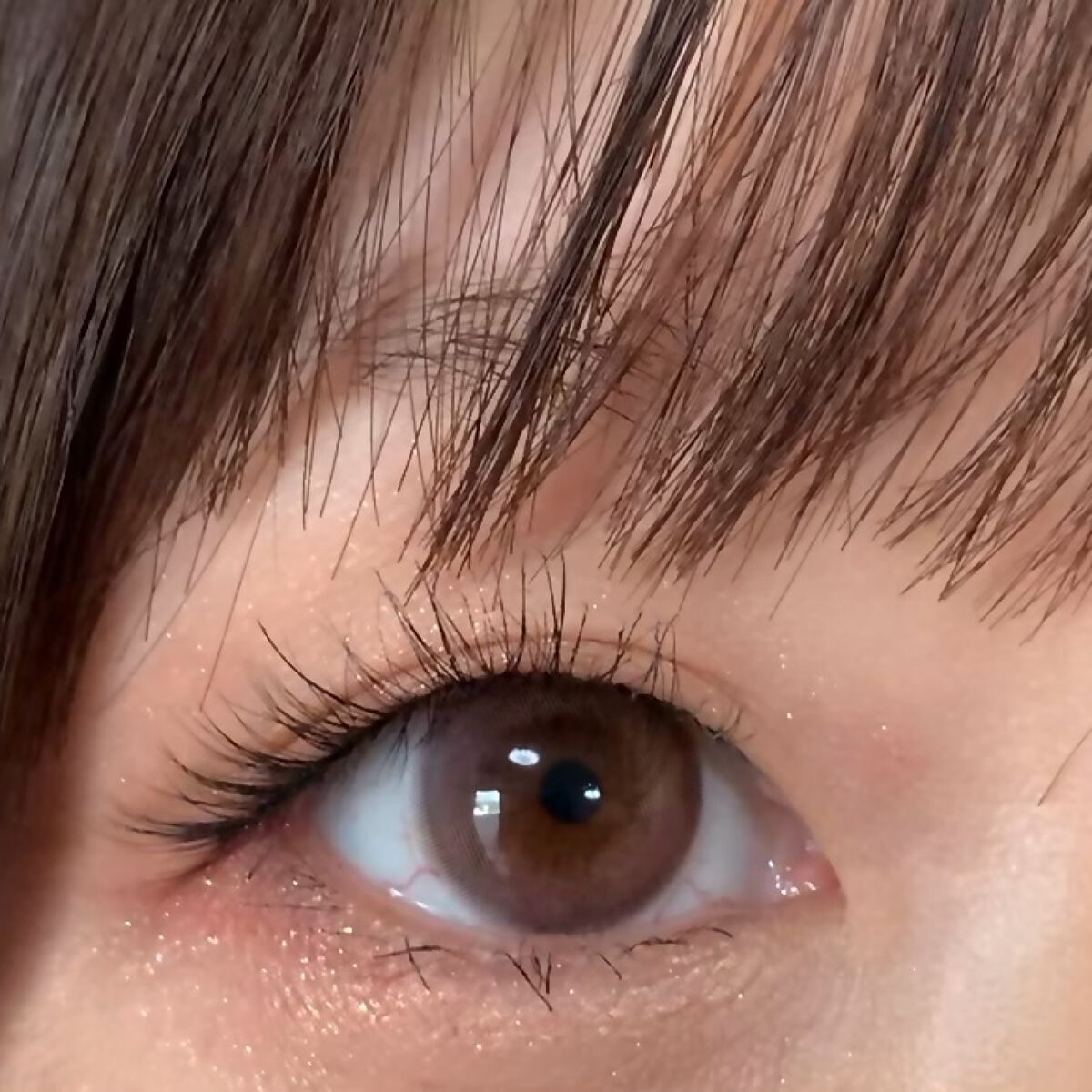 ノーズ＆アイブロウパウダー/CEZANNE/パウダーアイブロウを使ったクチコミ（1枚目）