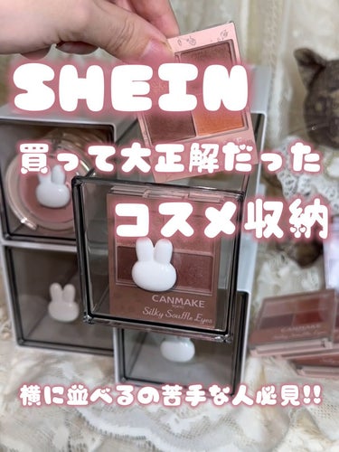 SHEIN ポータブル メイクアップ収納ペン