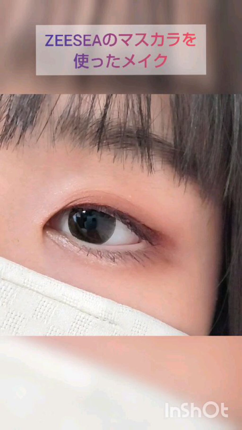 ちふれ　アイカラー/ちふれ/アイシャドウパレットの動画クチコミ2つ目