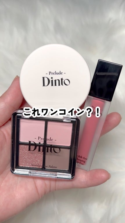 ピクシーダスト ルースパウダー フィニッシュパウダー /Dinto/ルースパウダーの人気ショート動画