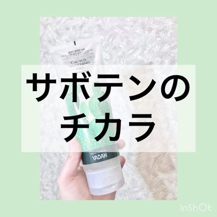 カクタススージングジェル/YADAH/ボディクリームの人気ショート動画