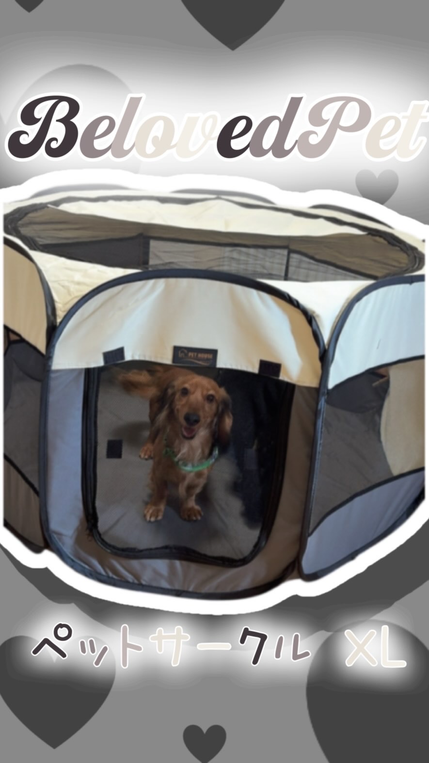 @belovedpet_dogcat さんの
ペットサークルXL

持ち運びに便利なカバン付きで
ビニールのような素材なので
濡れても大丈夫なのが嬉しい！
出し方も簡単で
止めているゴムバンドを外し
畳んでいるのを
パタパタと戻したら
簡単