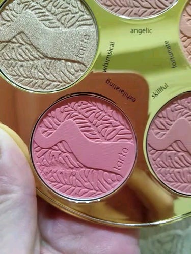 tarte   bIush bazaar  Amazonian Blush Paleta/tarte/メイクアップキットの動画クチコミ1つ目