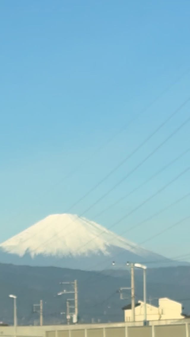 SHISEIDO エッセンス スキンセッティング パウダー/SHISEIDO/ルースパウダーの人気ショート動画