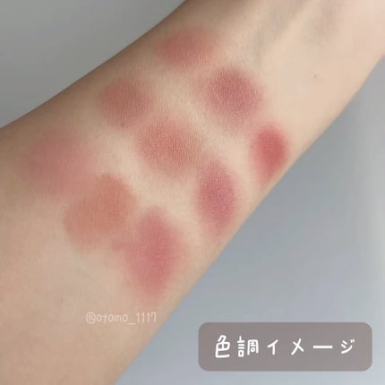 ムードペインティングリップアンドチークパレット/dasique/マルチパレットを使ったクチコミ(4枚目)