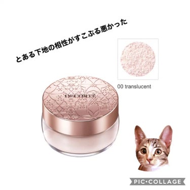 ラトゥー エクラ ファンデーション プライマー N/PAUL & JOE BEAUTE/化粧下地を使ったクチコミ（1枚目）