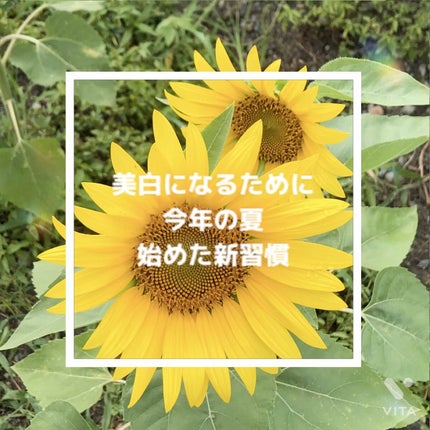 CICA デイリースージングマスク/VT/シートマスク・パックの人気ショート動画